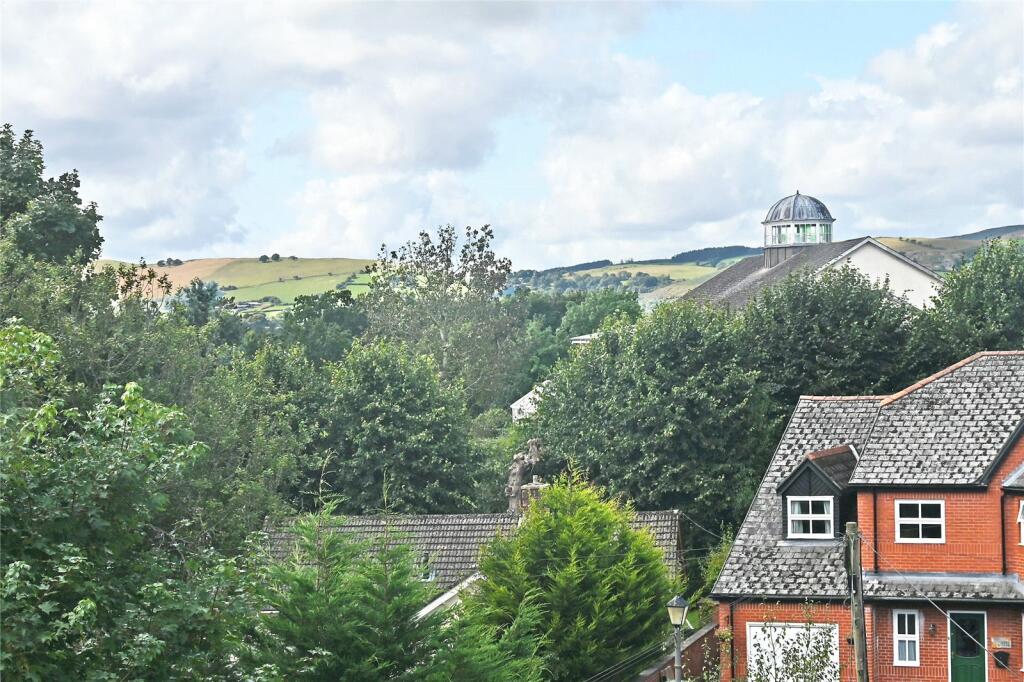 Rear View