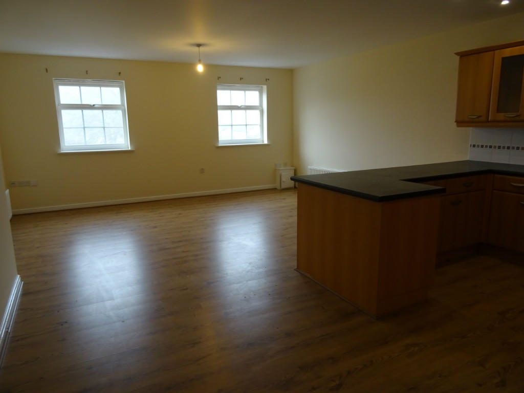 Kitchen/Living Area