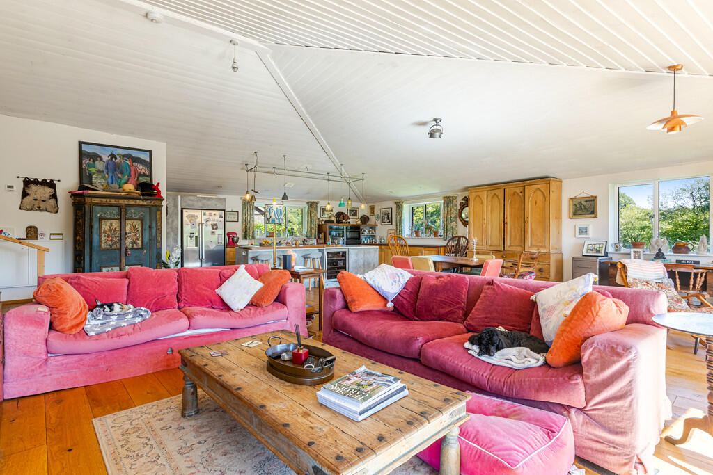 A31 - Cuckoo Down...