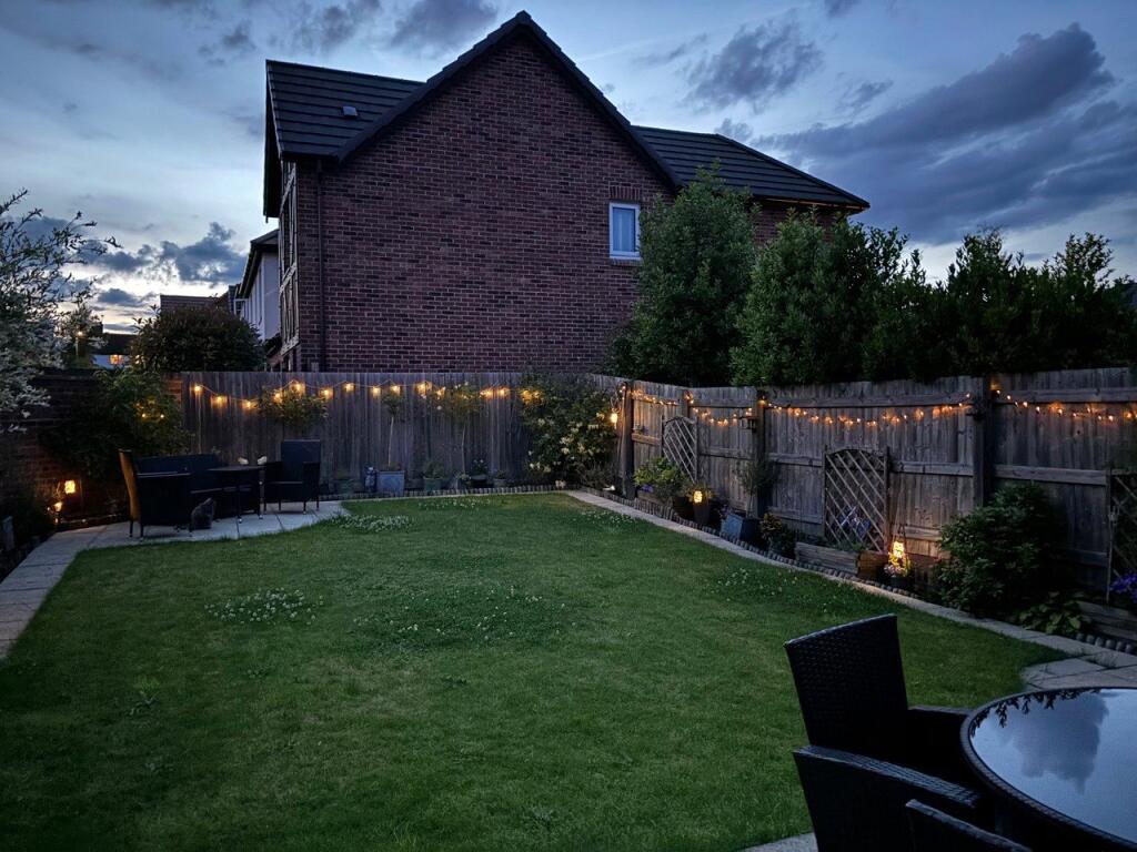 Dusk Garden