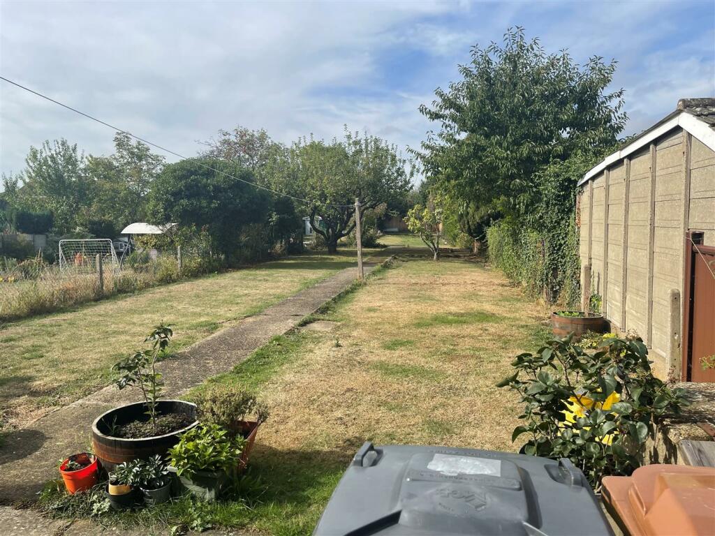garden.jpg
