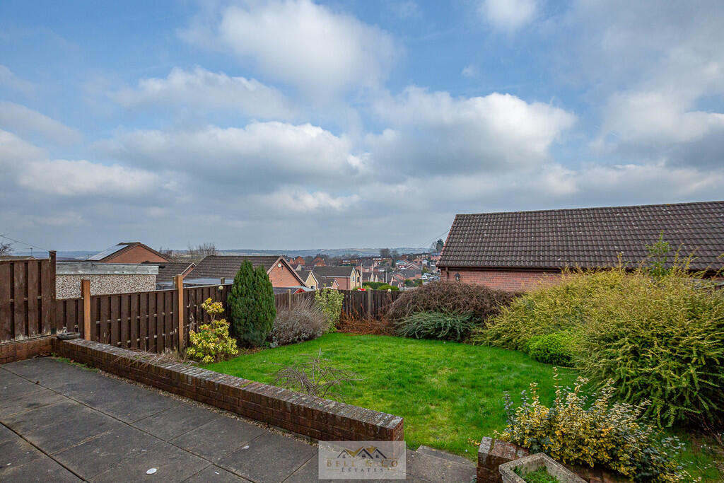 Back garden 1.1