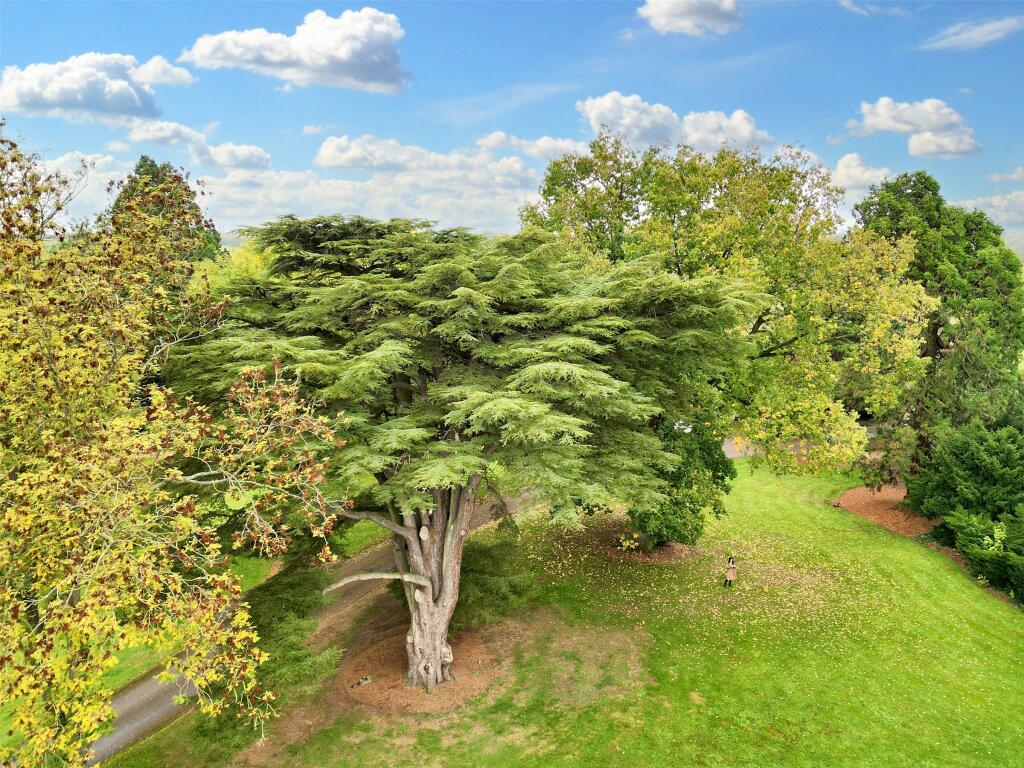 Grounds