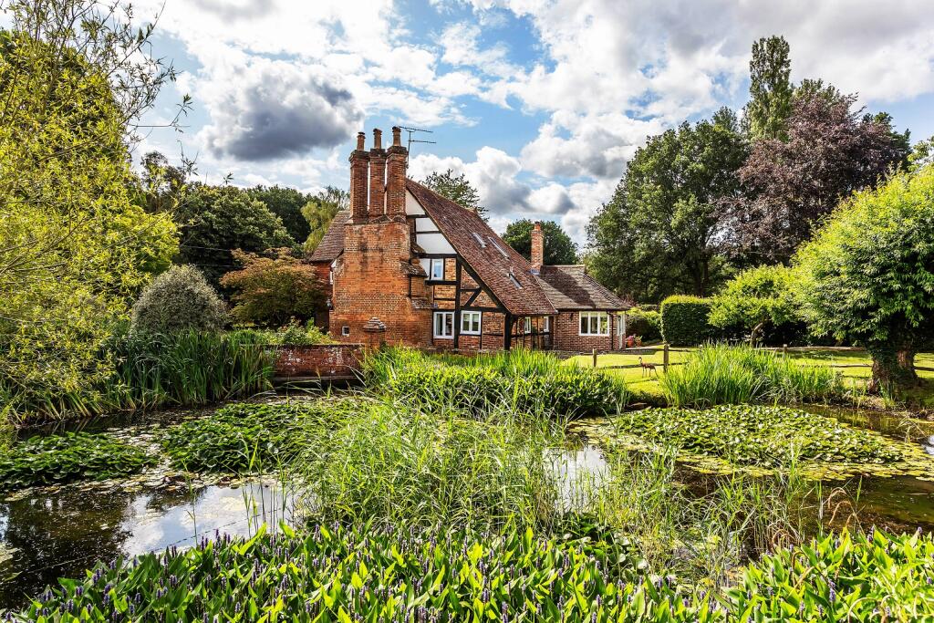 Pond