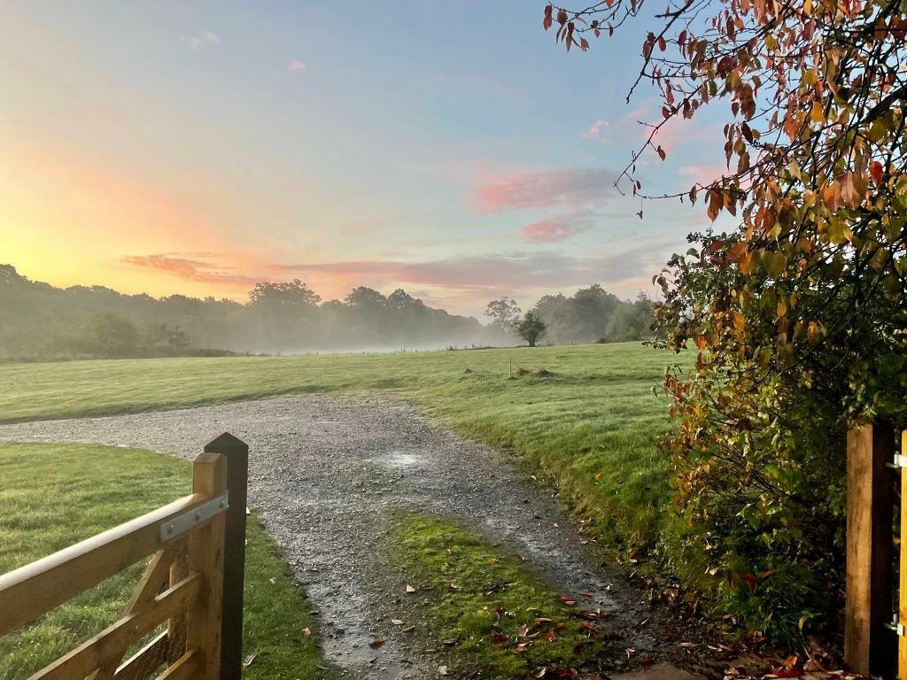 Early morning from the gate