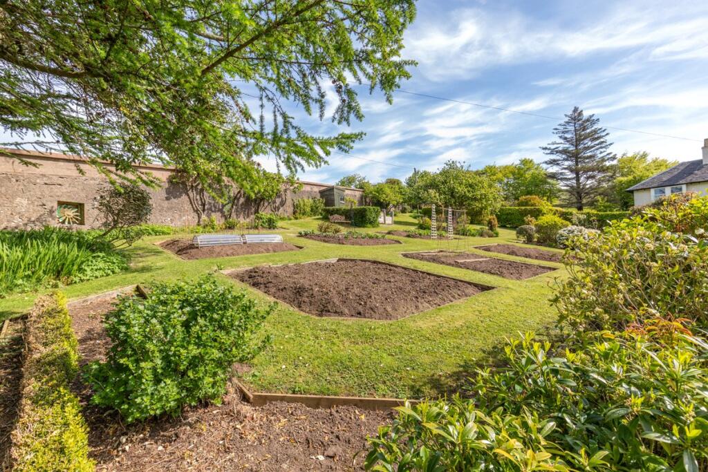 Vegetable Plot