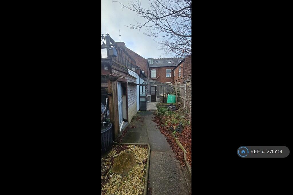 Back Garden
