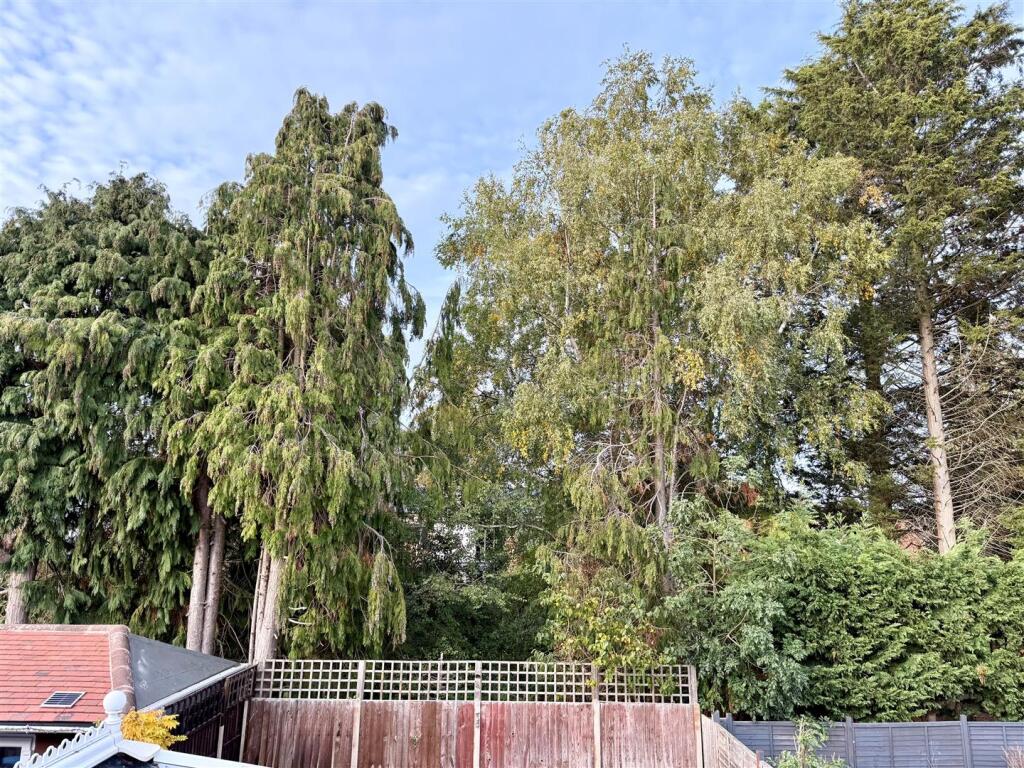 Willow Crescent 4.jpg