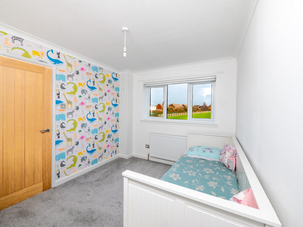 20250118_14010279...