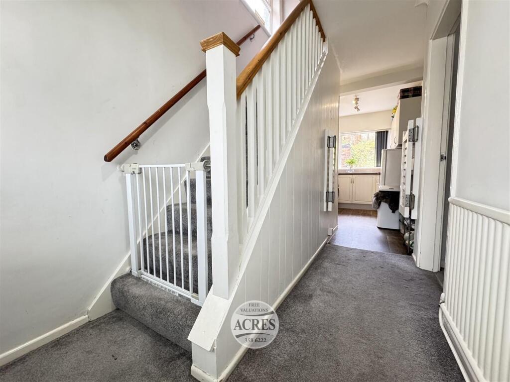 IMG_7628 (Large).jpg