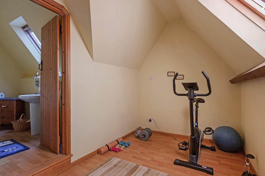 Attic Gym