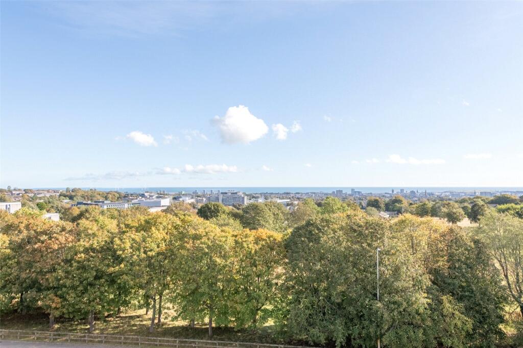 Midstocket View