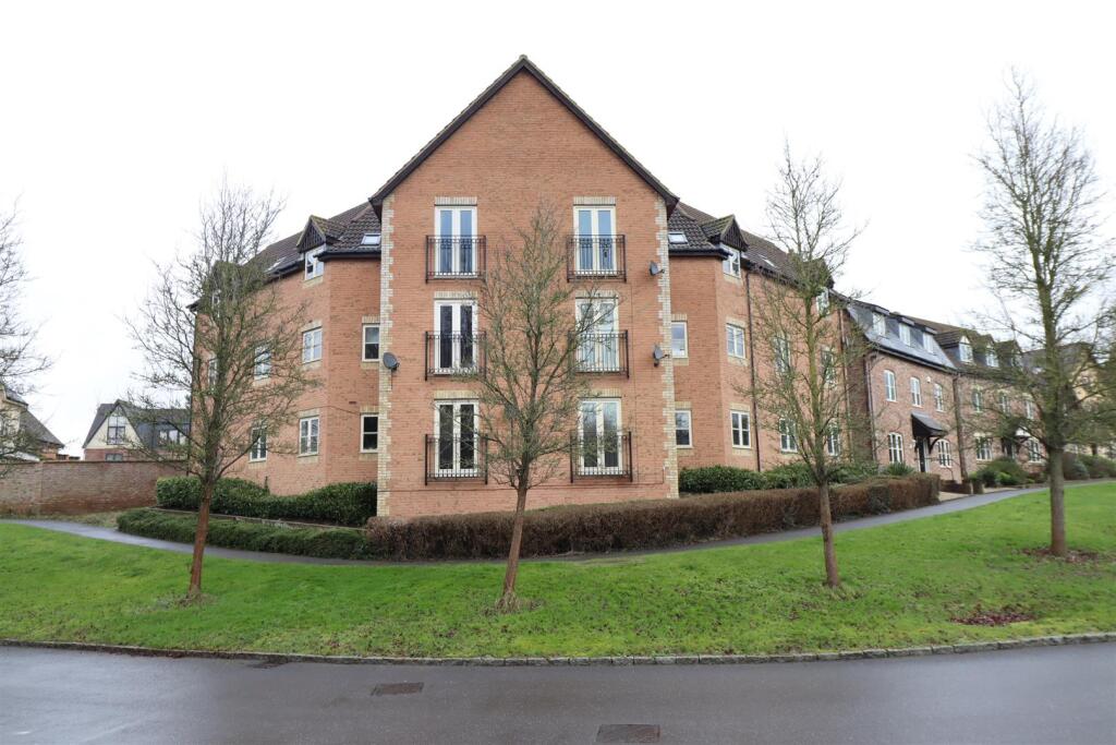 Rear Elevation