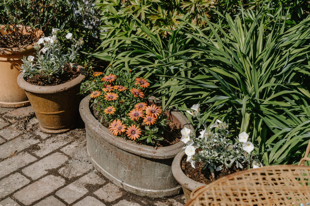 279324 - Hope Haven_High Res-79.jpg