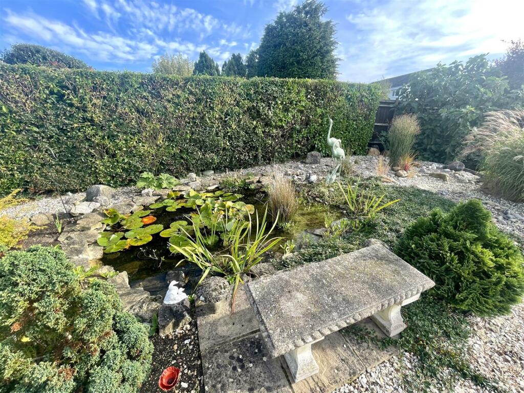 pond 1.jpg