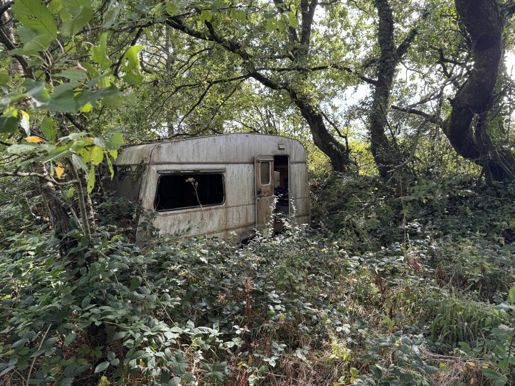 IMG 1870 T202509101641.jpeg