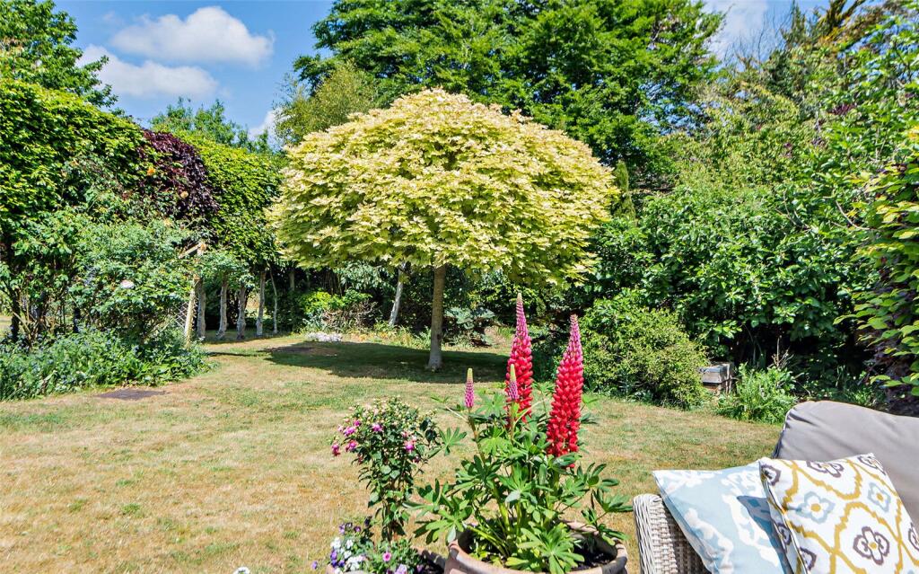 Grounds