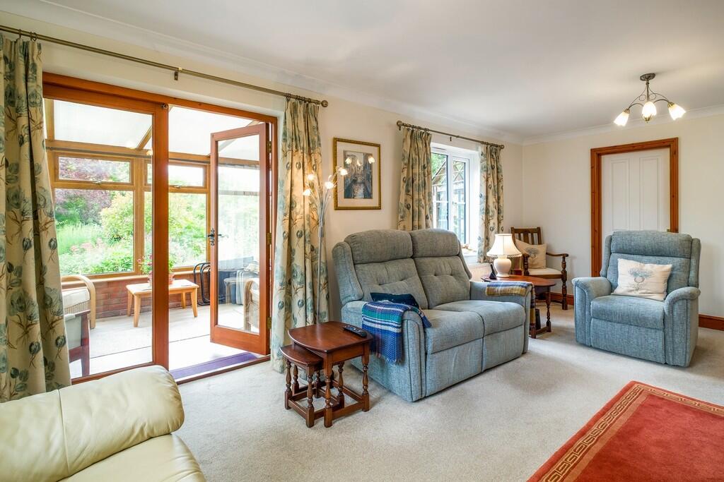 1440px-Hedgehogs-...