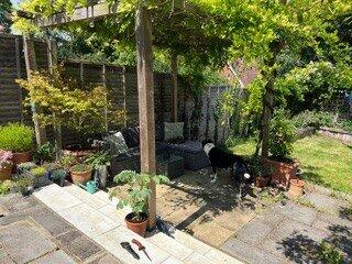 Summer Garden