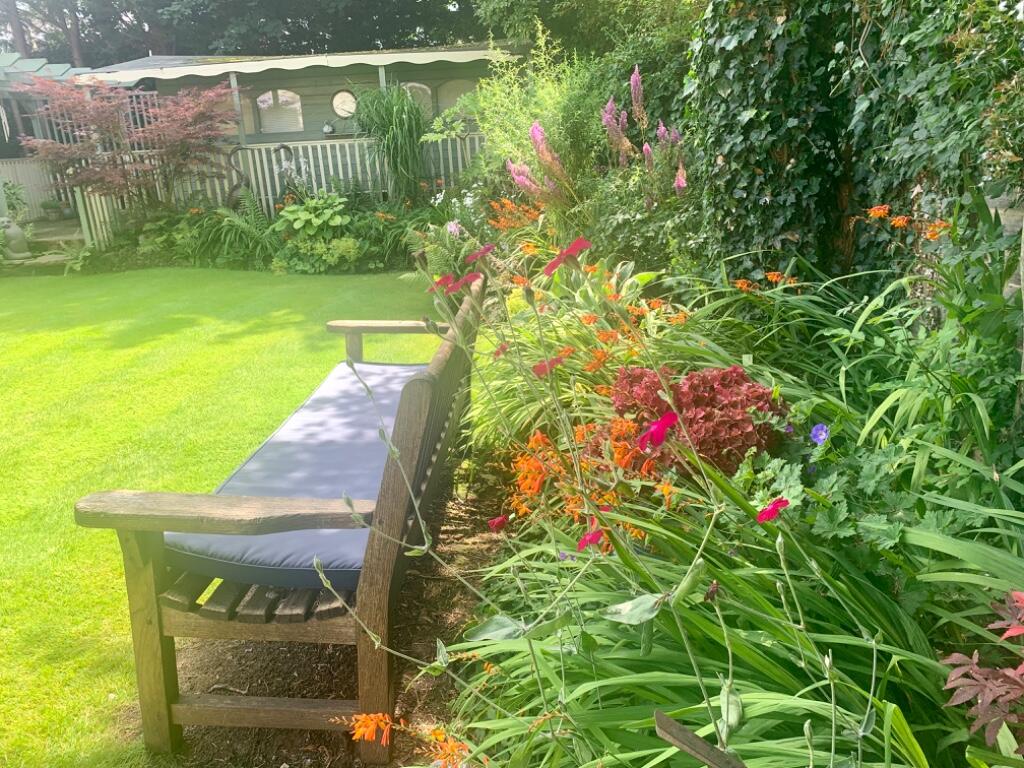 Mature Plants