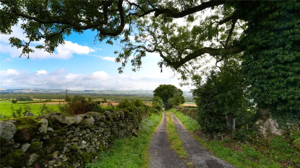 Countryside View