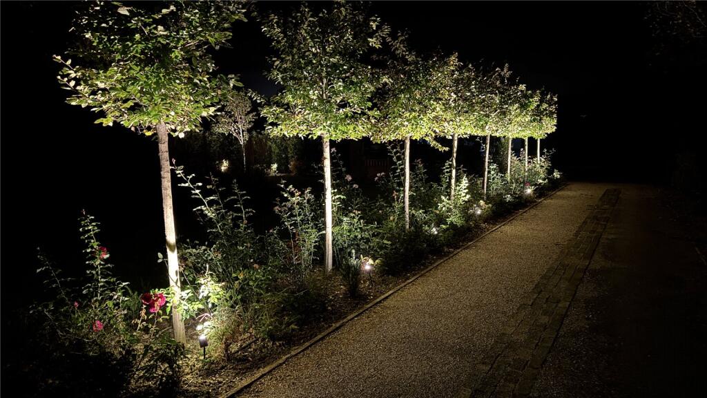 Driveway At Night