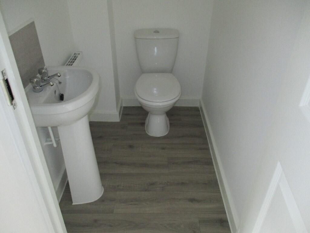 Downstairs Toliet