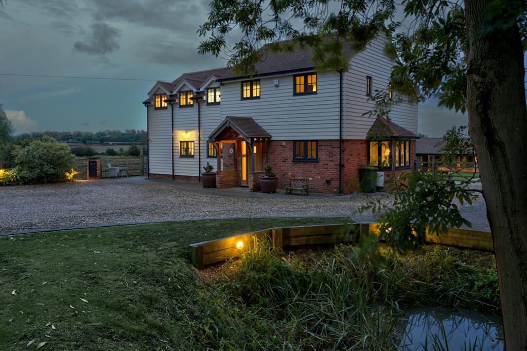 Sheeps Nighttime  (80).jpg