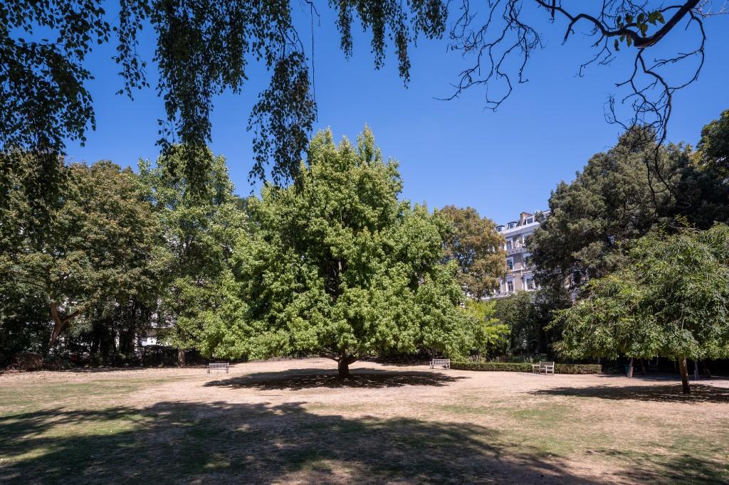 Communal gardens