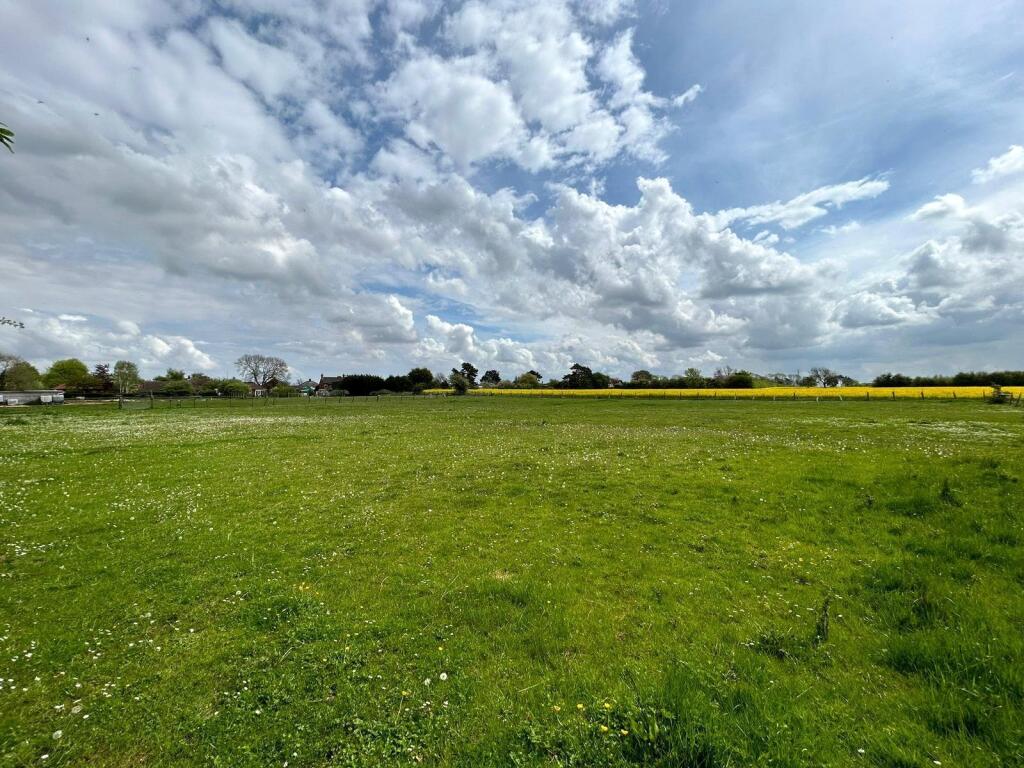 View Of Site