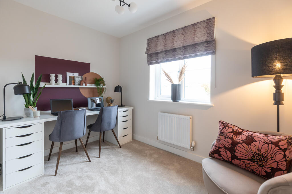 L-VISW-RIP.ripley-TIB-21-011