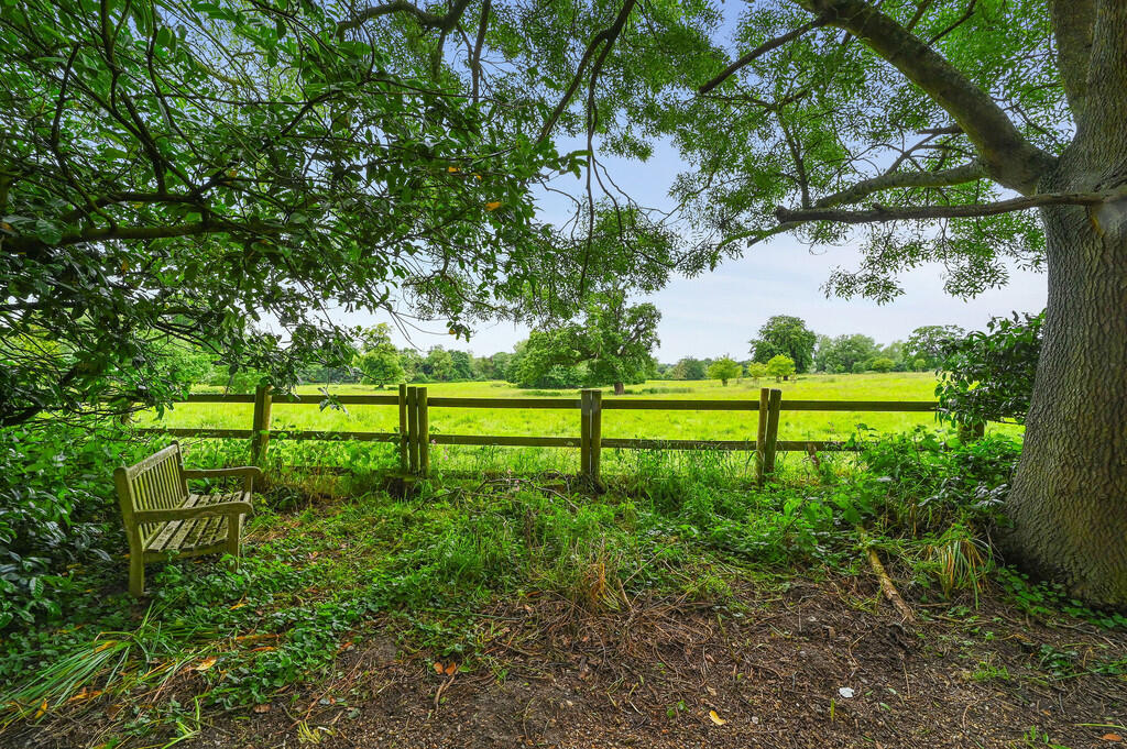 PT-DB(WP)-WillowH...