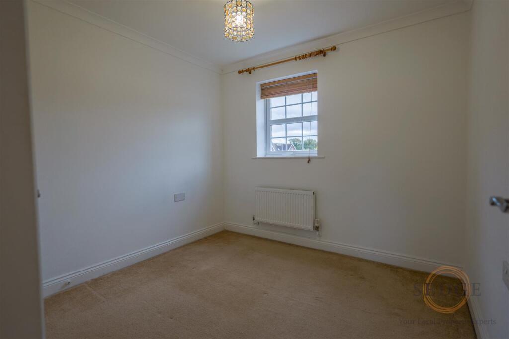 4 mallard close -09.jpg