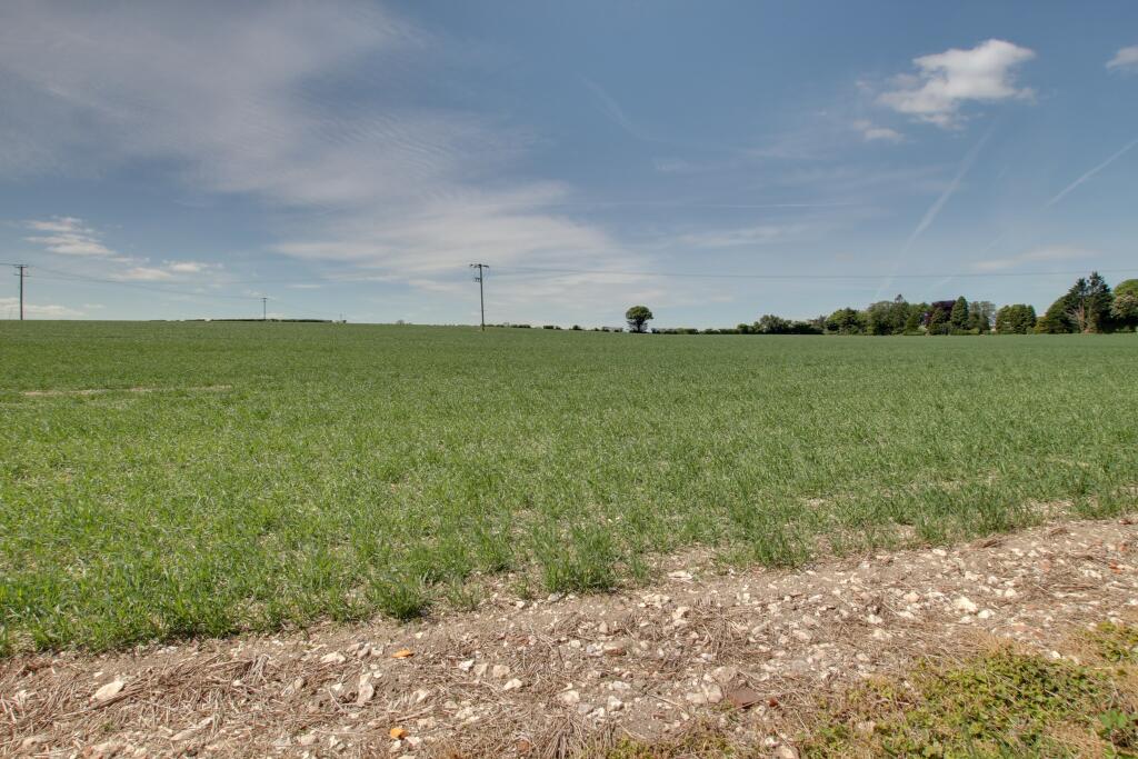 FIELD VIEW