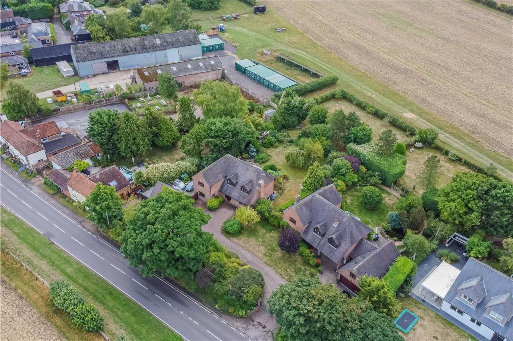 Aerial Shot