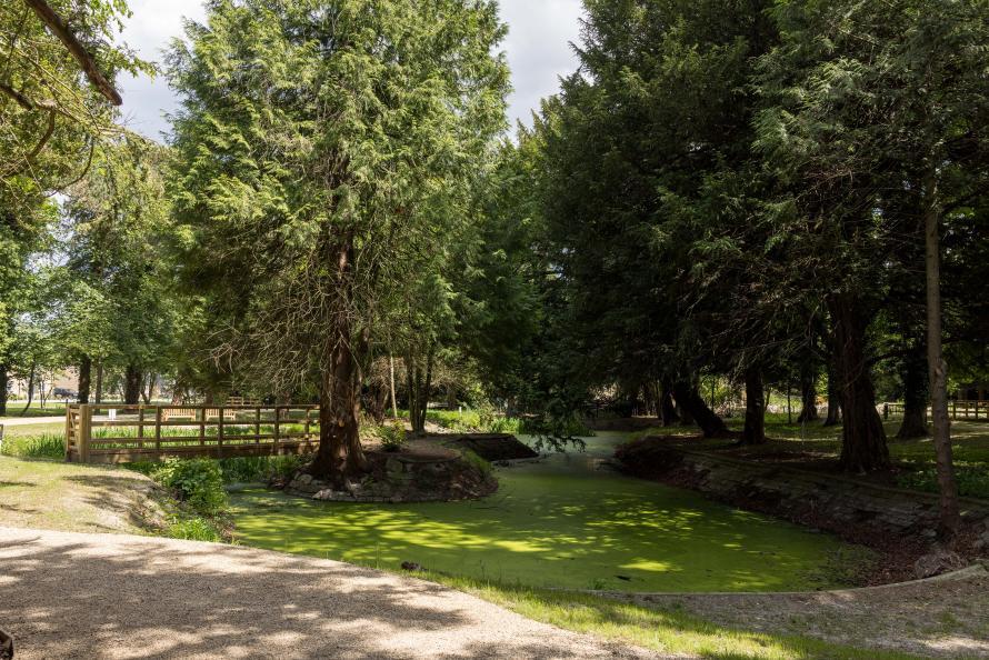 Farehurst Park - Pumping House Pond