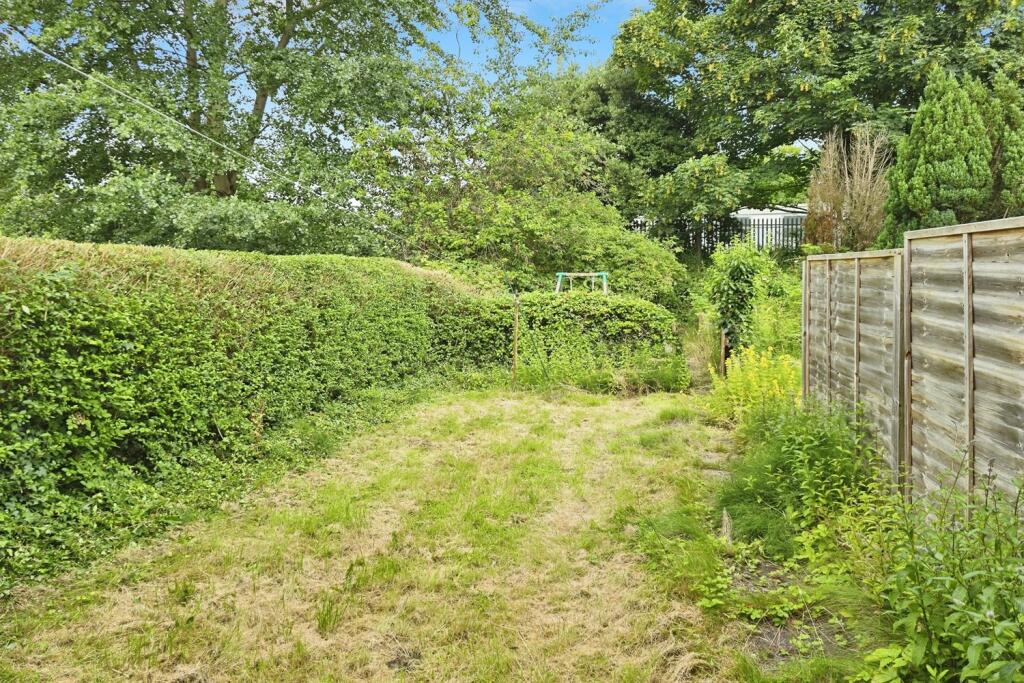Back Garden