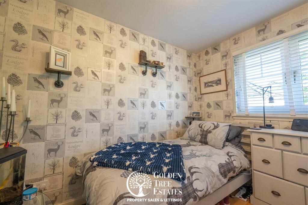 Images Above-09728.jpg