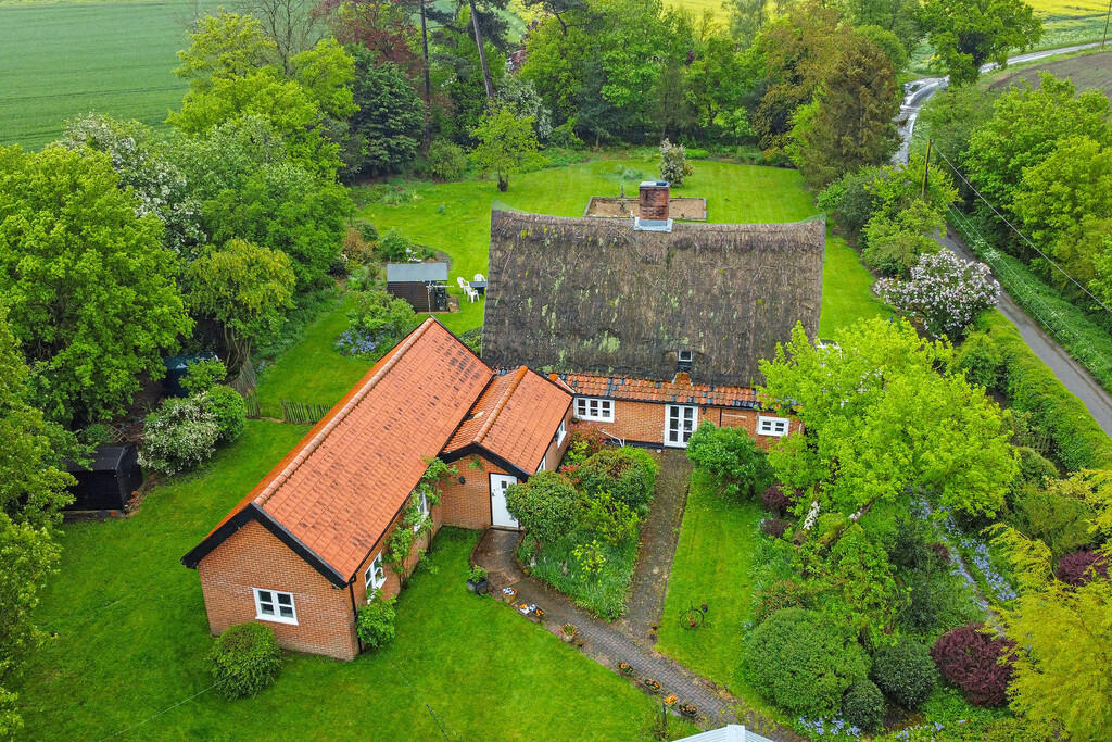 PT-DB(WP)-TheRose...