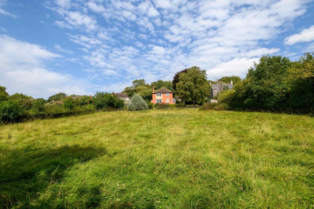 TEK HiRes 240827 028.jpeg