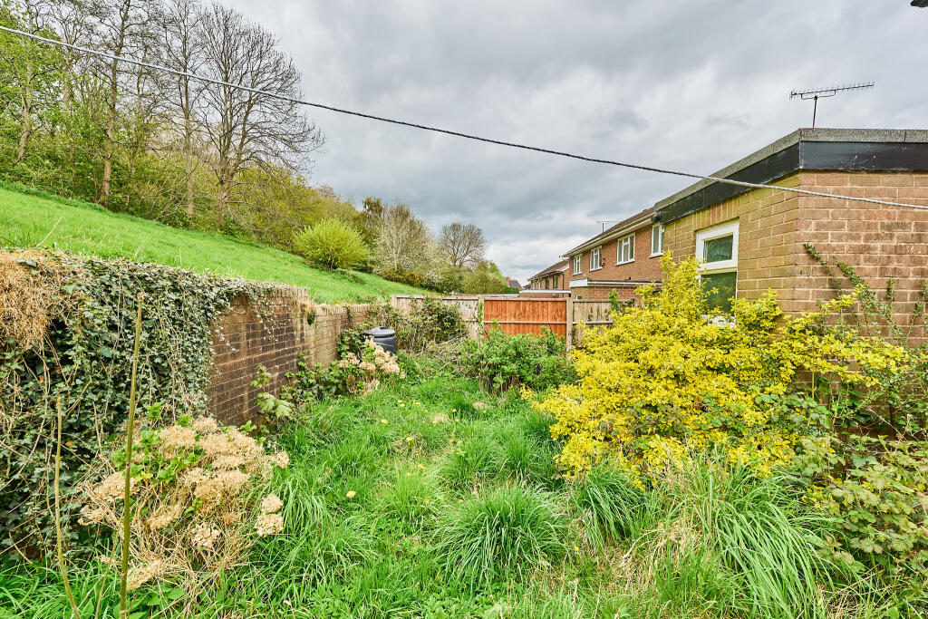 P1456224 T202504141830.jpg