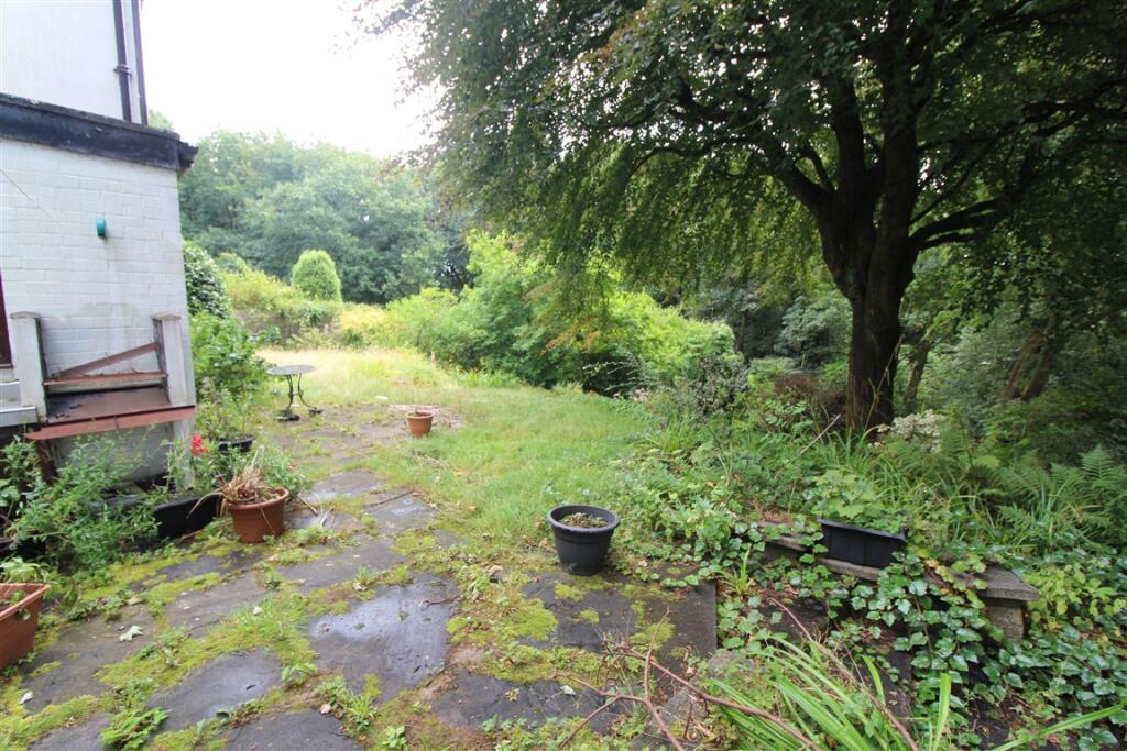 Garden 5 T202508221635.jpg