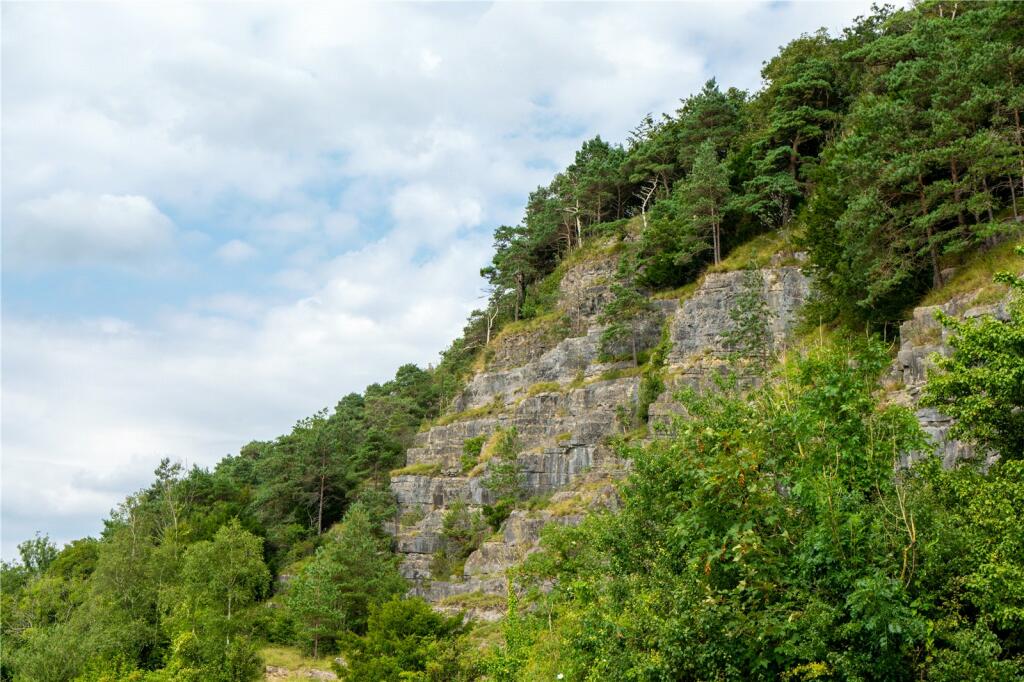 Woodland &amp; Rockface