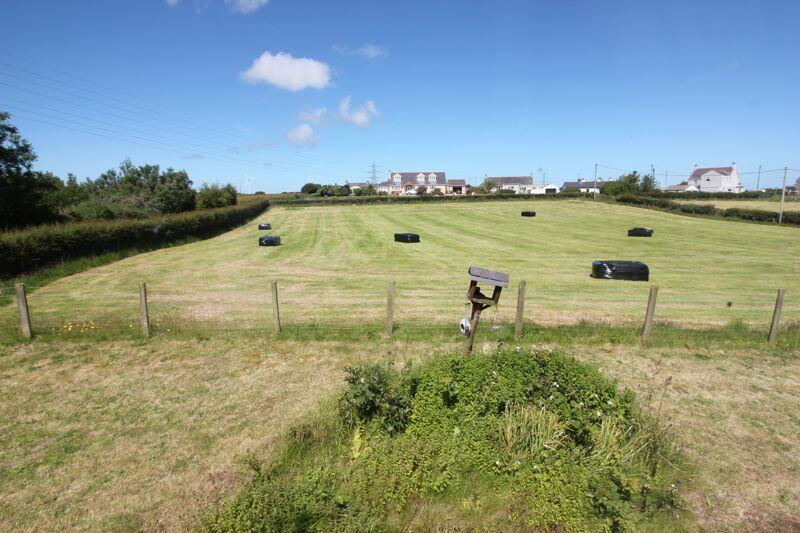 front view and paddock