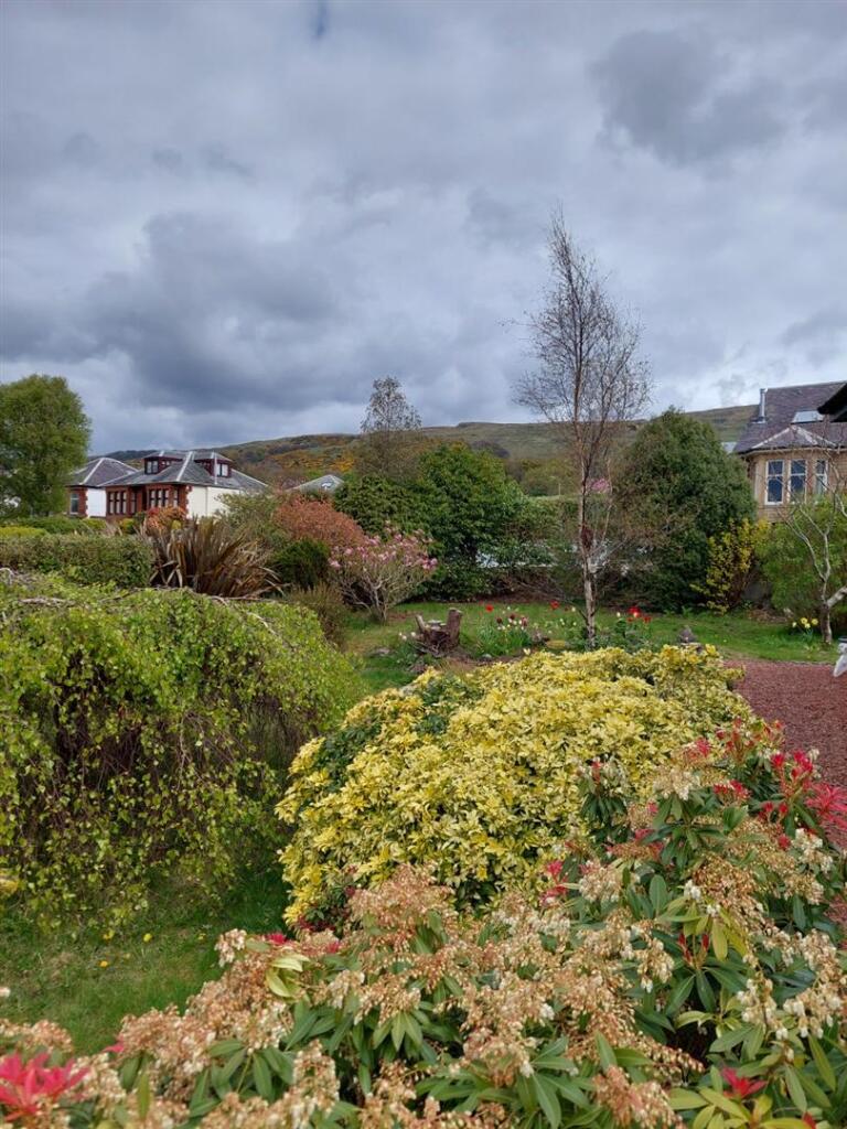 Garden 5.jpg