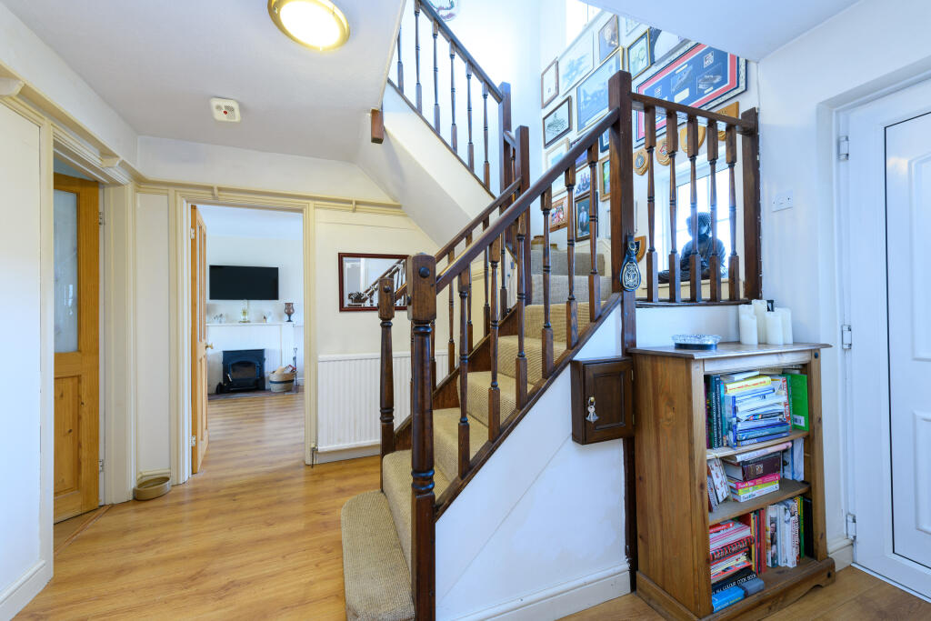 TEK HiRes 250113 052