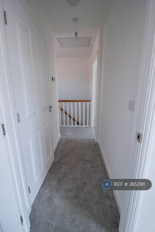 Brand New Carpets