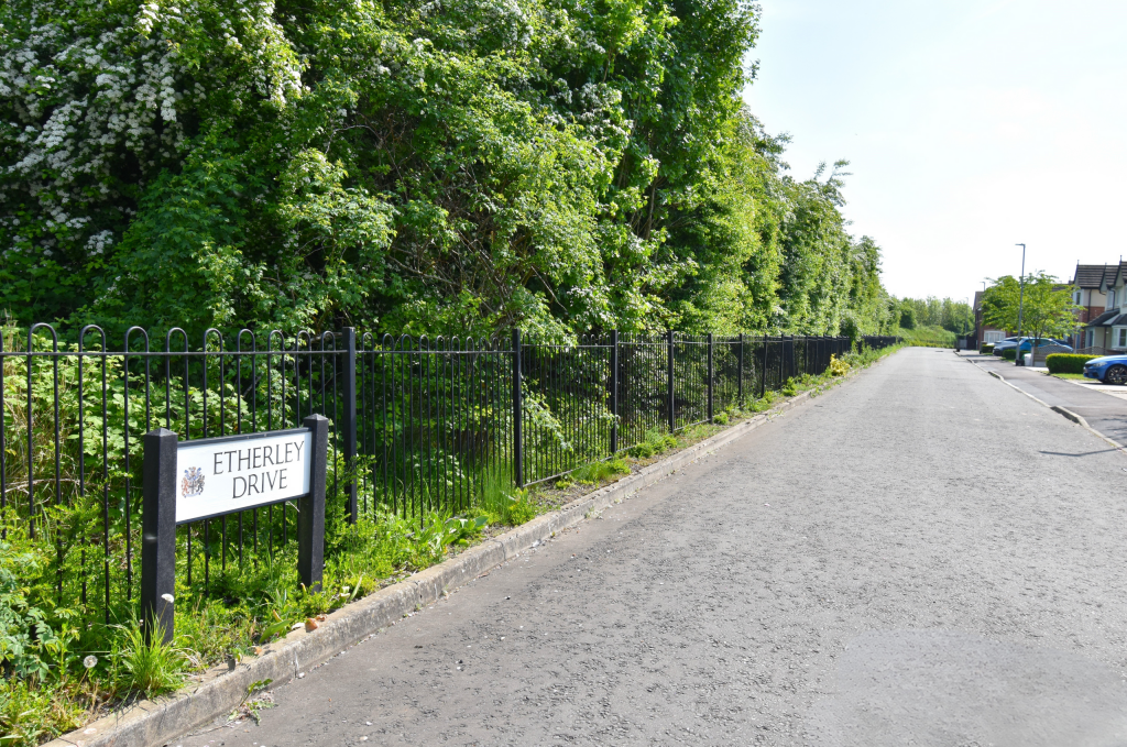 Untitled (5200 x 3900 px) (5200 x 3450 px)