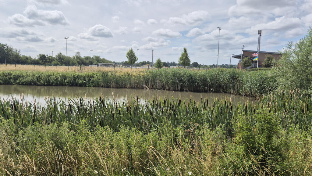 Surrounding Area