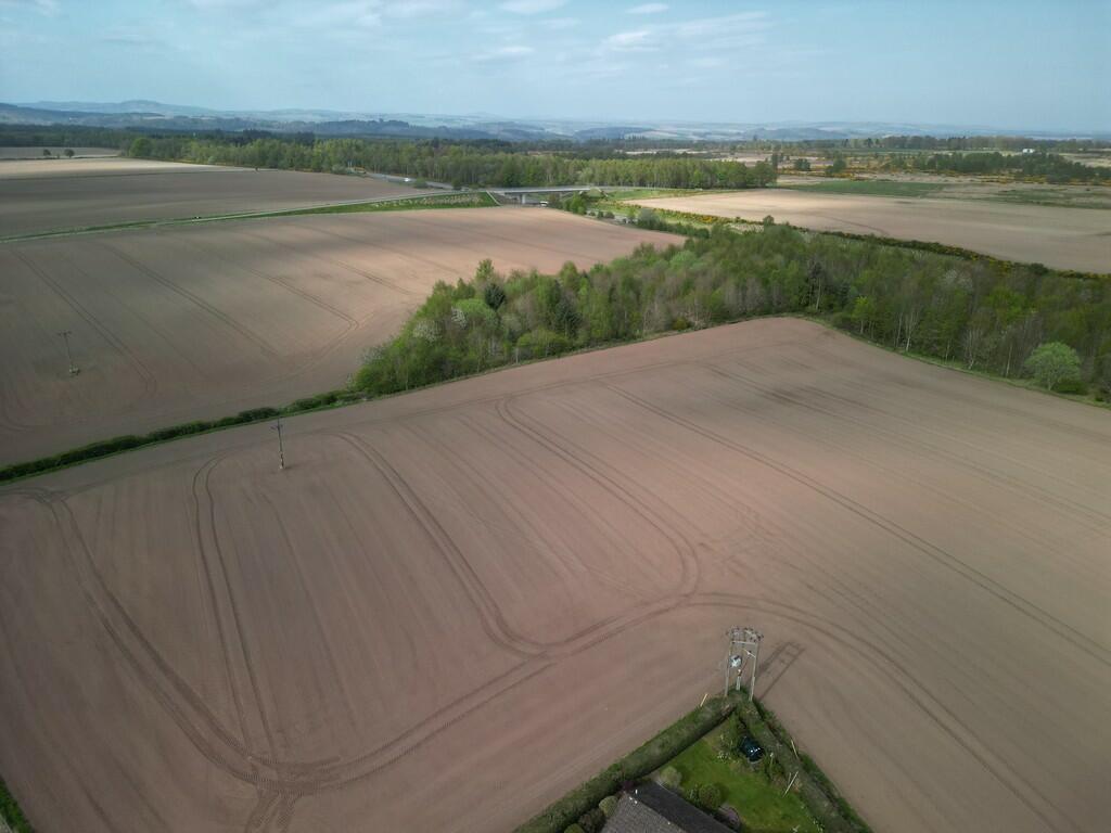 DJI_0305